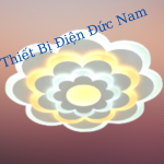 Đèn Mâm ốp nổi MT-056