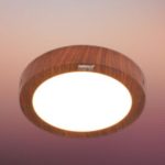 Led ốp nổi vân gỗ 24w