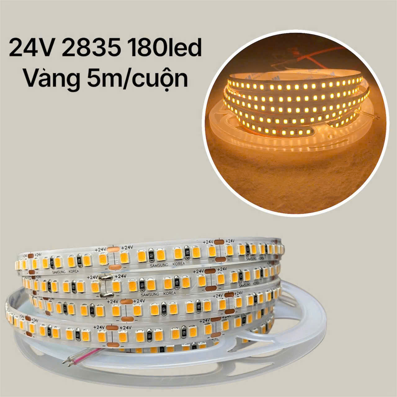 Led dây 12V 24V