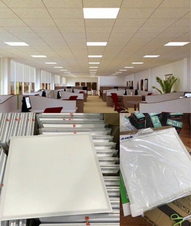 panel hay downlight văn phòng